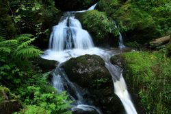 09 Wasserfall Lotenbachklamm -  Schwarzwald